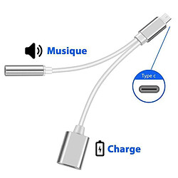 Double Adaptateur cable diviseur Type C prise jack 3.5mm chargeur USB-C Argent pour téléphone smartphone - Visiodirect -