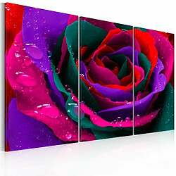 Paris Prix Tableau Imprimé Rose Irisée 40 x 60 cm