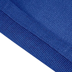 Acheter vidaXL Tapis de tente 250x300 cm Bleu