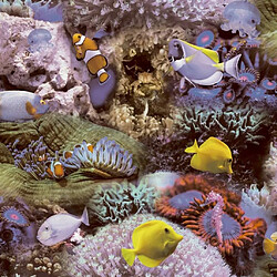 Noordwand Good Vibes Papier peint Coral and Tropical Fish Jaune et violet