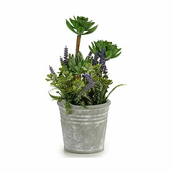 Ibergarden Plante décorative Fleurs Campagne Liège Plastique 10 x 25 x 10 cm (12 Unités)