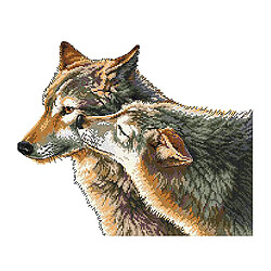 La broderie faite main de loup embrassent des métiers 11CT 52 × 44cm de broderie de kits