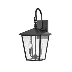 Elstead Lighting Applique murale extérieur Hinkley Aluminium,laiton,verre grainé transparent Noir