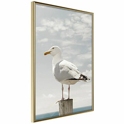 Paris Prix Affiche Murale Encadrée Curious Seagull 20 x 30 cm Or