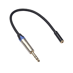 Câble audio Cordon Ligne 6.35mm Mâle à 3.5mm Femelle Connexion TC203NF03 pas cher