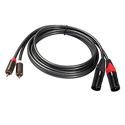 Avis Câble Double XLR vers RCA