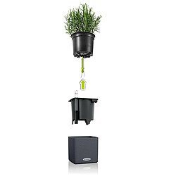 Acheter LECHUZA Jardinière de table CUBE Color 14 ALL-IN-ONE Anthracite