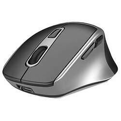 Souris Cool Ergonomic Argent