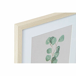 Cadre DKD Home Decor Plante (35 x 2 x 45 cm) (4 Unités)