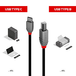 Avis Lindy 36940 câble USB 0,5 m USB 2.0 USB C USB B Noir