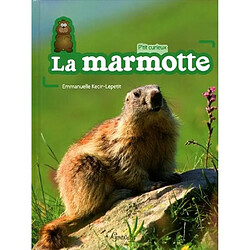 La marmotte - Occasion