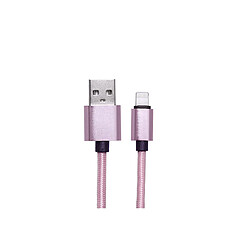 Platyne Cable Usb Vers Lightning 1 Metre