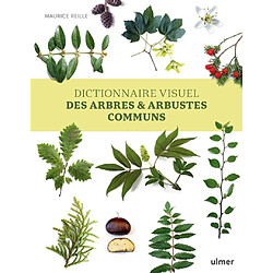 Dictionnaire visuel des arbres & arbustes communs