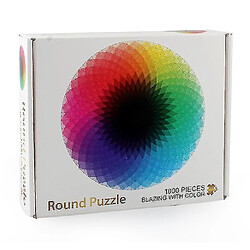 Universal Puzzle circulaire arc-en-ciel curieux pas cher