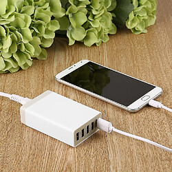 Universal Adaptateur de chargeur USB 5V 8a 5 ports