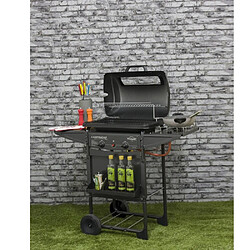 Camping Gaz Barbecue 30 x 50 cm à gaz avec pierre de lave et réchaud latéral Expert Deluxe