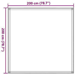 vidaXL Tapis de tente 200x200 cm Noir pas cher