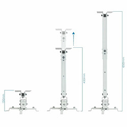 Acheter Support de Toit Inclinable pour Projecteur TooQ PJ2012T-W 20 kg