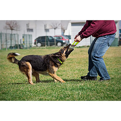 Julius-K9 18410 Harnais Coton/Nylon extérieur Cousu à Tirer avec poignée