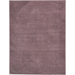 Hadorn Tapis shaggy 185x125 Violet Luzern