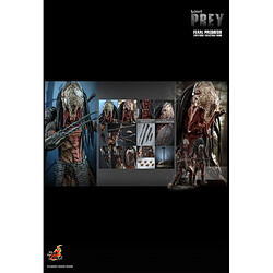 Hot Toys TMS114 - Prey 2022 - Feral Predator