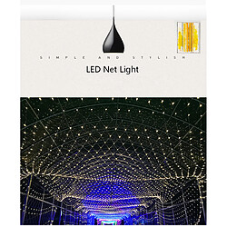 200LED Network lights 3m x 2m Chaîne lumineuse étanche extérieure 220V EU