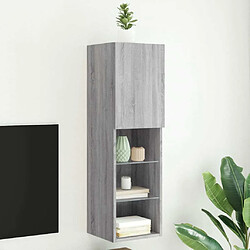 Maison Chic Meuble TV avec lumières LED, Banc TV pour salon, Meuble de rangement sonoma gris 30,5x30x102 cm -GKD46284