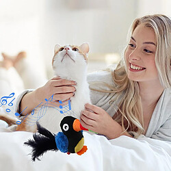 Acheter Universal Voix automatique perroquet oiseau jouets interactifs jouets électroniques pour chat morsure douce jouets amusants à mâcher fournitures pour animaux de compagnie |