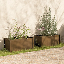 vidaXL Jardinières 2 pcs Marron miel 100x50x50 cm Bois de pin massif