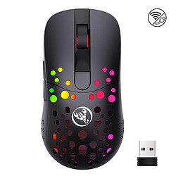 Yonis Souris Ergonomique RGB Sans Fil Programmable