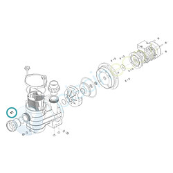 JARDIéco Insert laiton pour pompe Série HPS ou Série HGS - Hydroswim