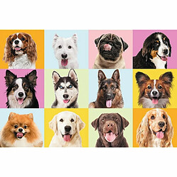 Trefl- Chiots Mignons 60 Pièces-Puzzles Colorés avec Les Animaux, Chiens, Collage, Divertissement Créatif, Jeu pour Enfants Plus de 4 Ans, 17374, Taille Unique