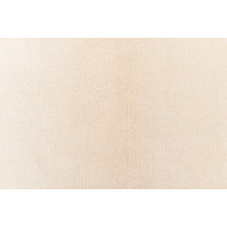 Acheter Vidal Tapis de couloir en laine 302x84 beige Darya