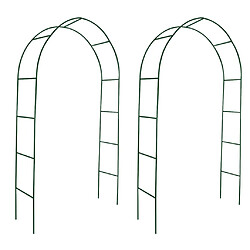 vidaXL Arche de jardin 2 pcs pour plantes grimpantes