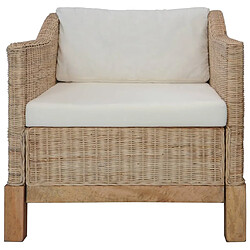 Maison Chic Fauteuil relax,Chair avec coussins Rotin naturel -MN49352