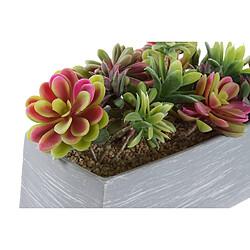 Avis Plante décorative DKD Home Decor Gris Marron Multicouleur EVA PE (23,5 x 11 x 14,5 cm) (2 Unités)