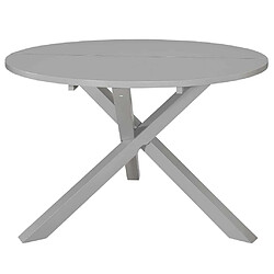 vidaXL Table de salle à manger Gris 120 x 75 cm MDF