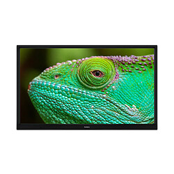 Lenco 24" Smart TV avec lecteur DVD intégré et adaptateur voiture 12 V DVL-2483BK Noir pas cher