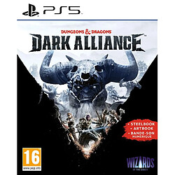 Deep Silver Dungeons et Dragons Dark Alliance Steelbook Edition PS5