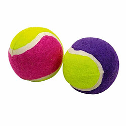 Paris Prix Lot de 2 Balles de Tennis Chien 4cm Multicolore