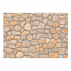 Paris Prix Papier Peint Stone Age 105 x 150 cm