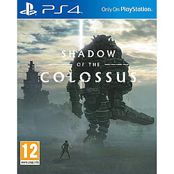 Sony Shadow of the Colossus