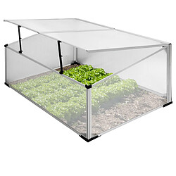 Ecd Germany Serre de jardin polycarbonate aluminium plante légume tomate fleurs 100x60x40 cm