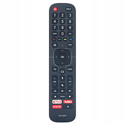 GUPBOO Télécommande Universelle de Rechange à Hisense Smart 4K TV avec Bluetooth et voix