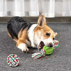 Jouets de corde pour chien, jouets à mâcher pour chiots ensemble de jouets interactifs pour chiens entraînement à la dentition pour chiens