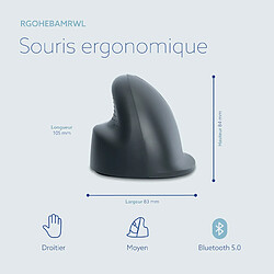 Avis R-Go HE Basic Souris Ergonomique, Bluetooth 5.0, Rechargeable avec Type C/A cable, Prevention tendinite, Souris Ergo Verticale, Compatible avec Windows/Mac/Linux/Android, 1600DPI et 3 Boutons, Gris