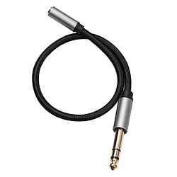 Adaptateur Casque 6,35 Mm Femelle à 3,5 Mm Adaptateur Audio Stéréo Mâle 0,3 Mètre