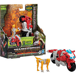 2 FIG 12CM ALLIANCE TRANSF Hasbro HAOF38975L00