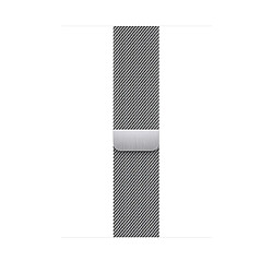 Apple ML783ZM/A accessoire intelligent à porter sur soi Bande Argent Acier inoxydable