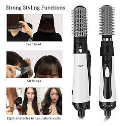 Acheter Universal Sèche-cheveux professionnel 2 en 1 Brosse à air chaud Lisseur de cheveux renforcé Peigne Brosse à poils Fer à repasser Styling Machine Pince à ondes(Le noir)